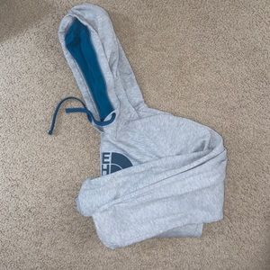 gray and teal north face sweatshirt